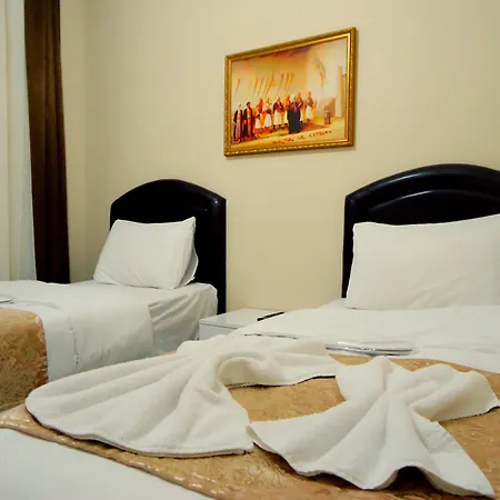 托加酒店 2* 伊斯坦布尔