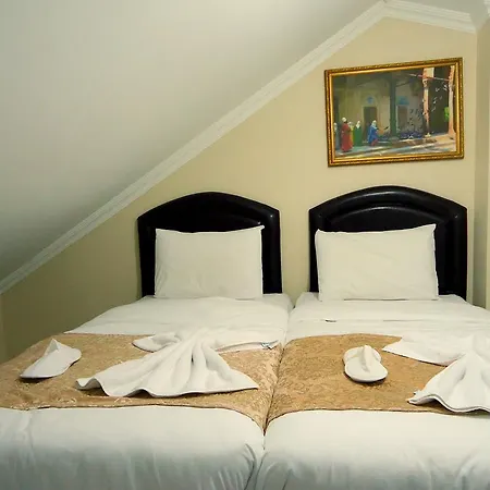 Tolga 2* איסטמבול