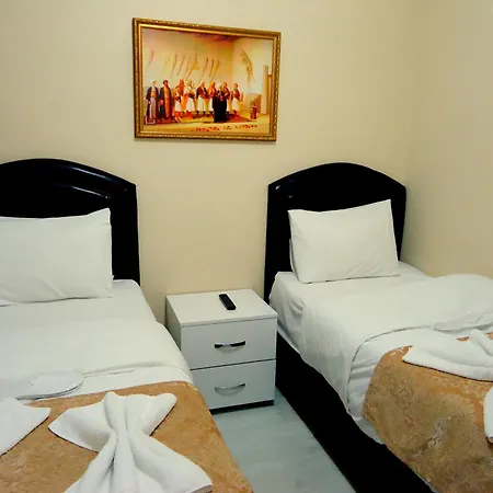 托加酒店 2* 伊斯坦布尔